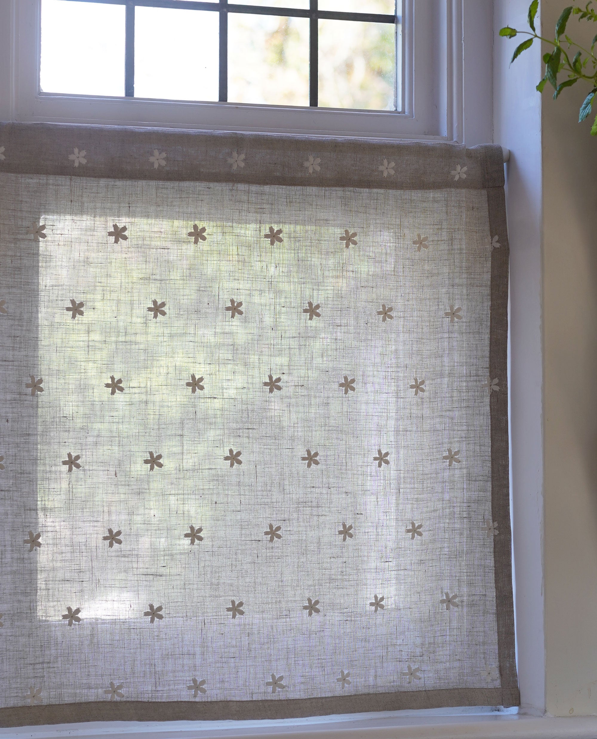Mitton Daisy Slot Top Cafe Curtain