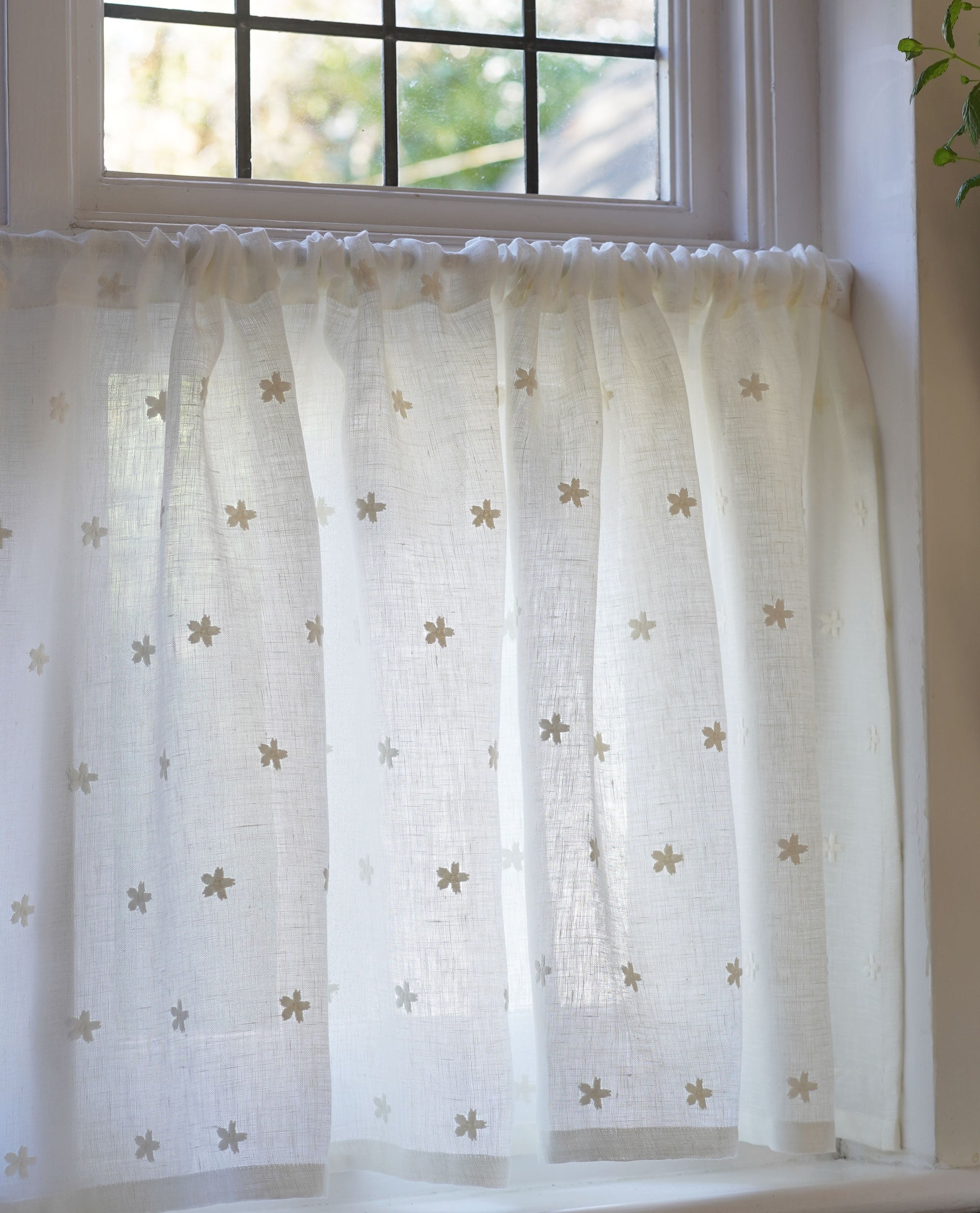 Mitton Daisy Slot Top Cafe Curtain